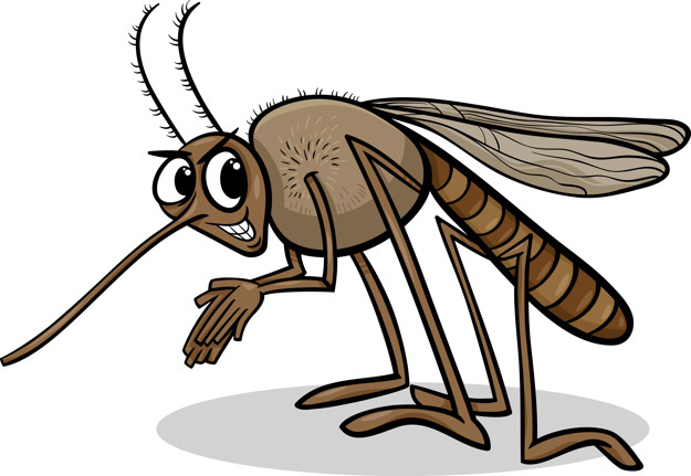¿Y Quién Era Ese Mosquito? –