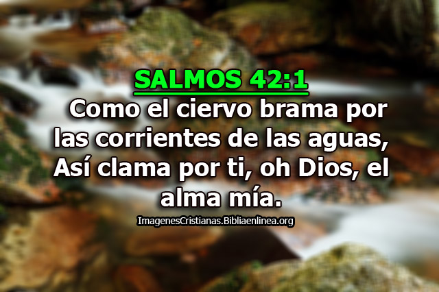 Llenando Nuestros Vacios – Luis Bravo